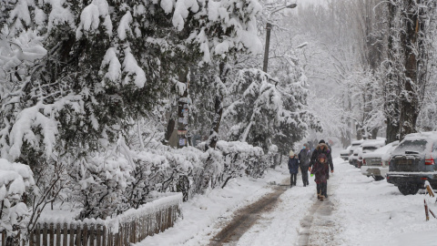 Сніг в Одесі. Фото: "Думська"